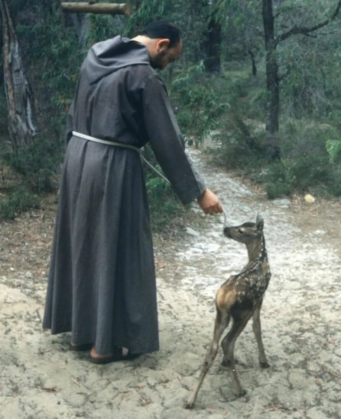a friar feeding a deer